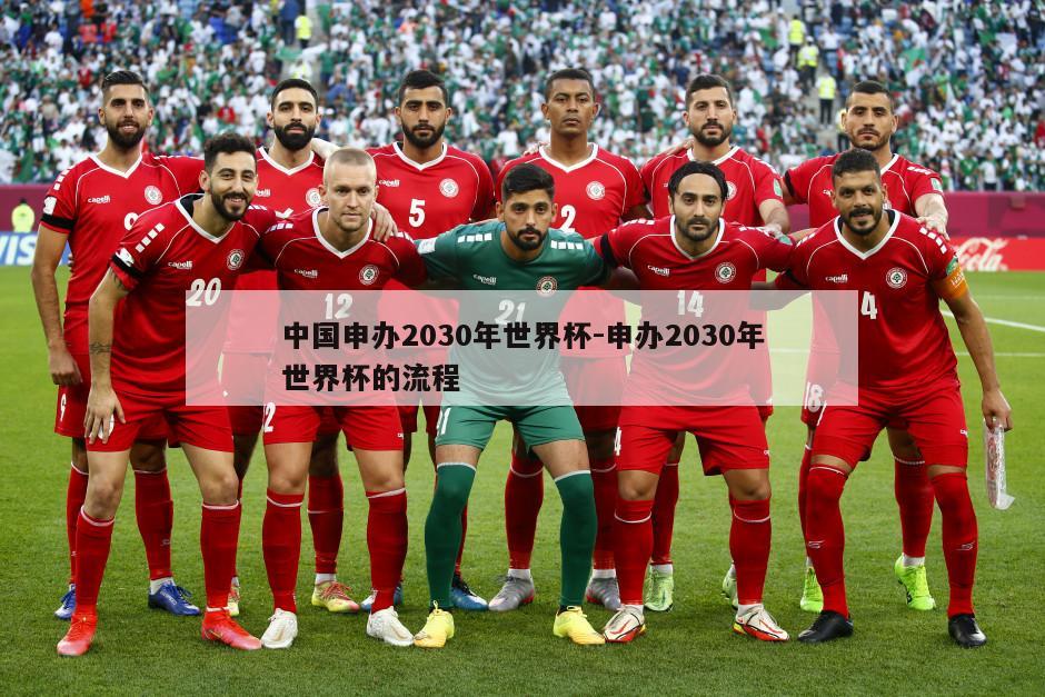 中国申办2030年世界杯-申办2030年世界杯的流程